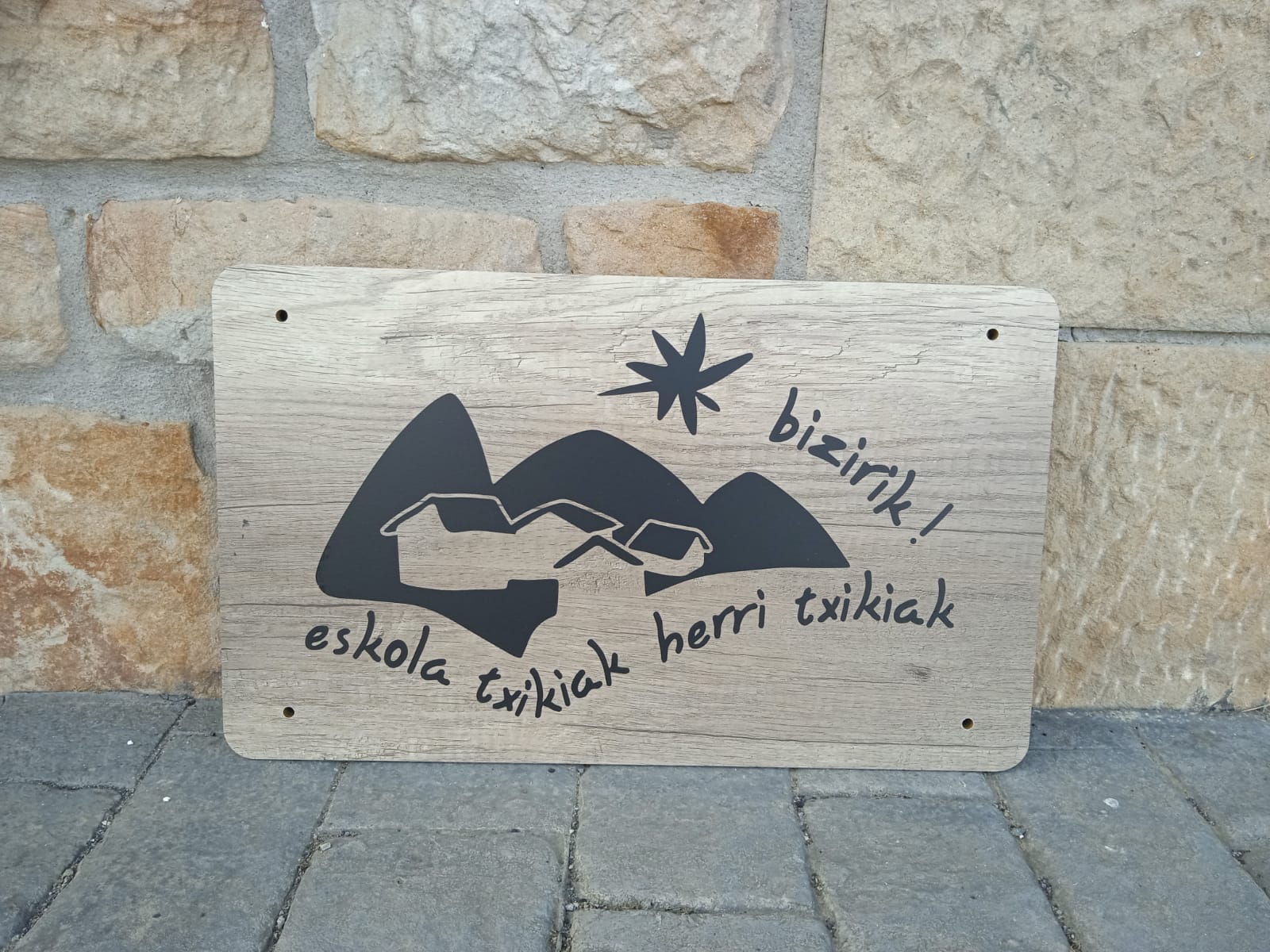 ESKOLA TXIKIAK, SARE IZAERA